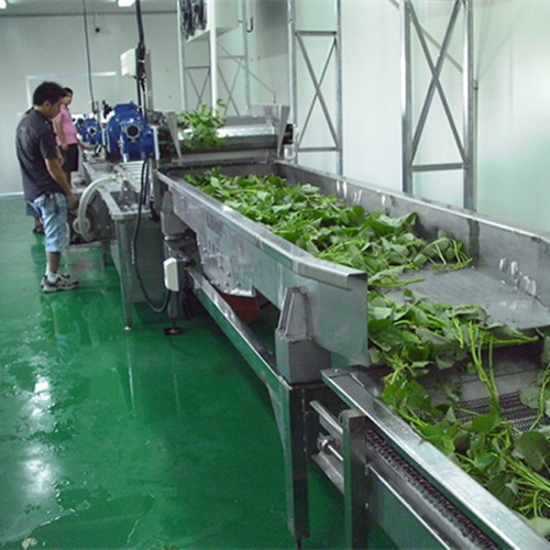 凈菜流水線客戶現場_